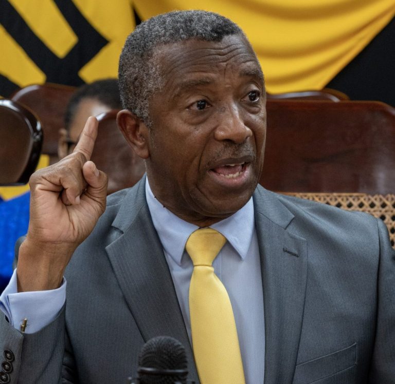 : Opposition Leader Defends Sudden Firing of Tricia Watson