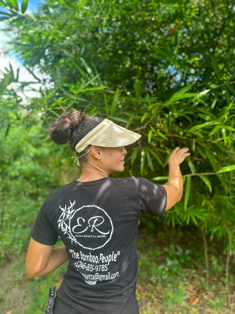 Eliza-Rosetta Home’s Sustainable Surge